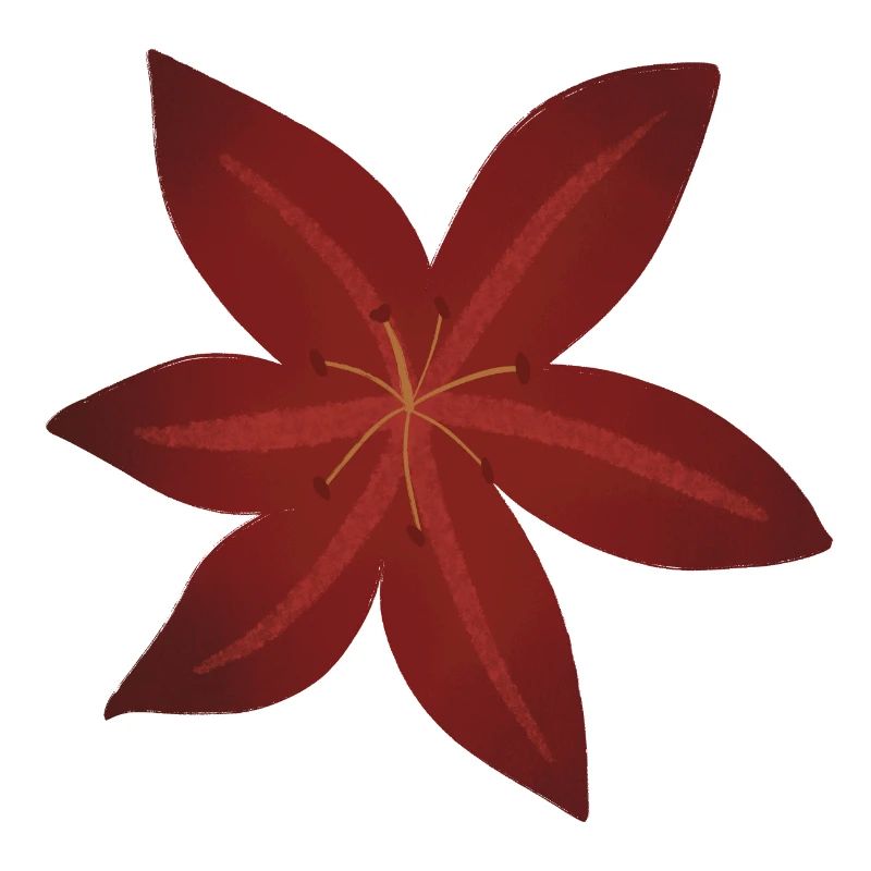 Design élégant de fleur de lys rouge