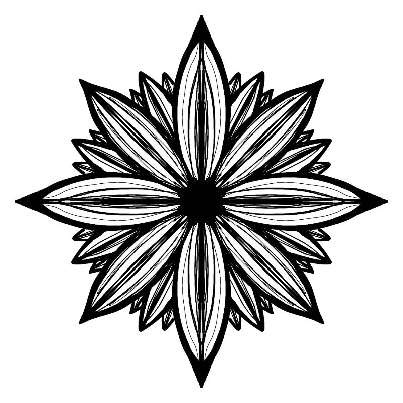 Fleur de marguerite