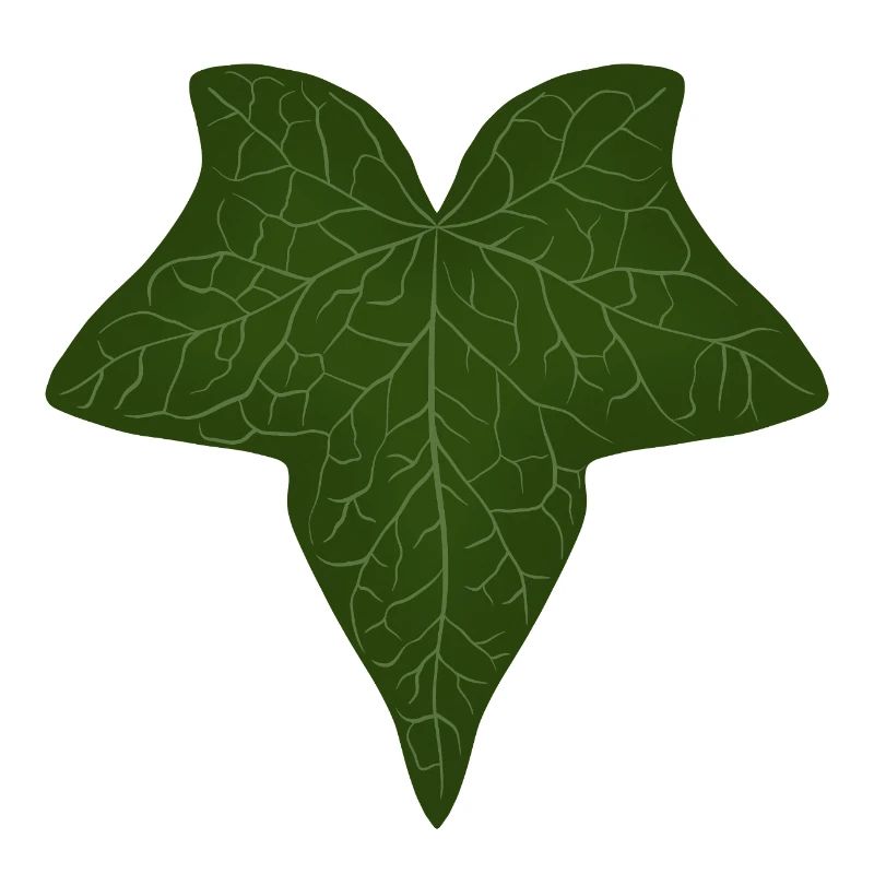 Elegant Green Ivy Leaf Pattern