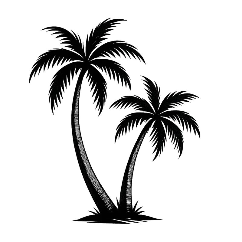 Tropical palm trees silhouette on black