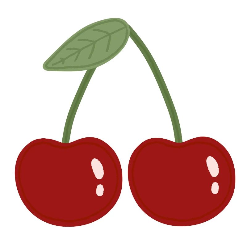 Twin Cherry Illustration