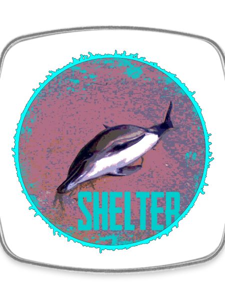 Dolphin Shelter Circle