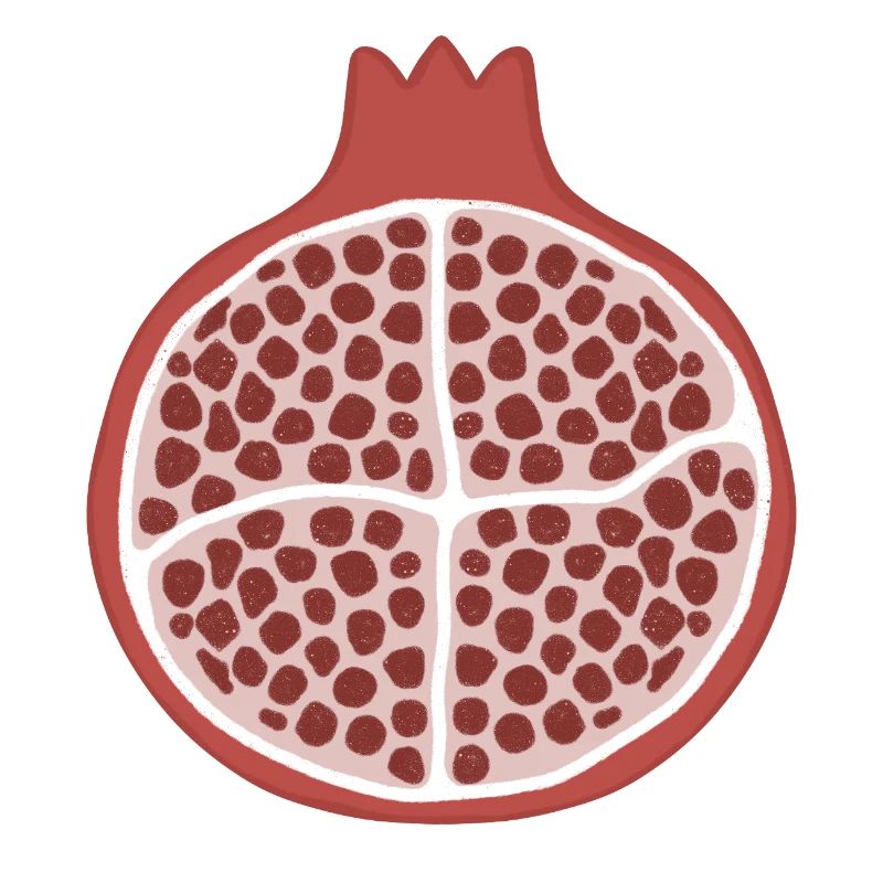 Pomegranate Slice