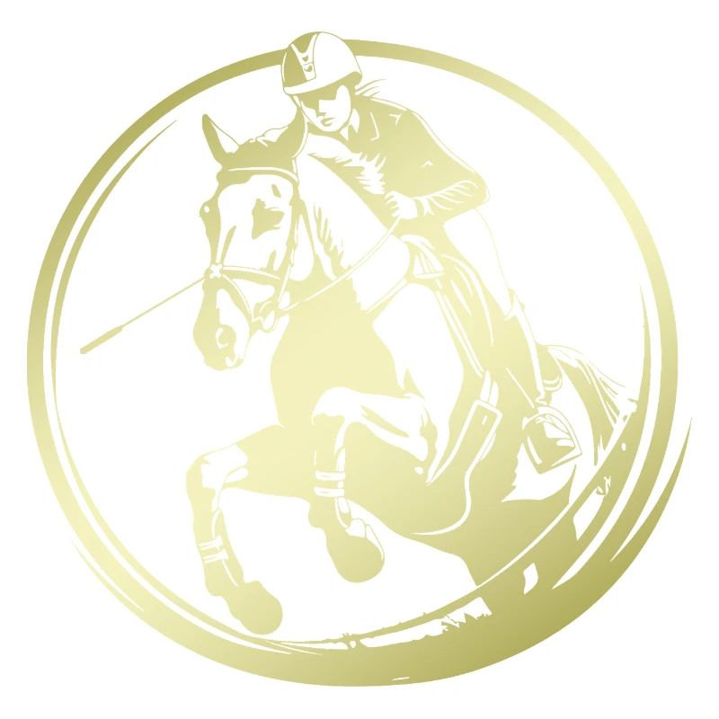 Silhouette de cheval d’équitation