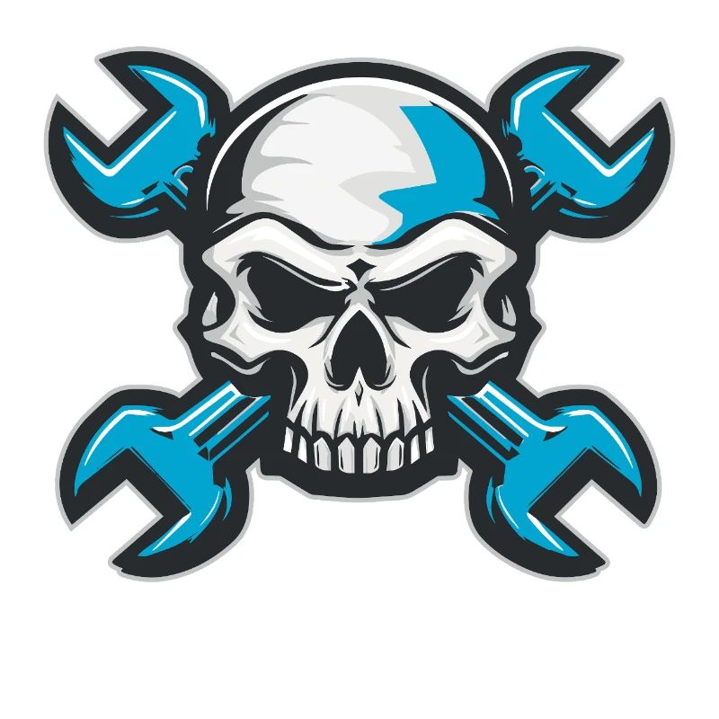 Mechanic's skull