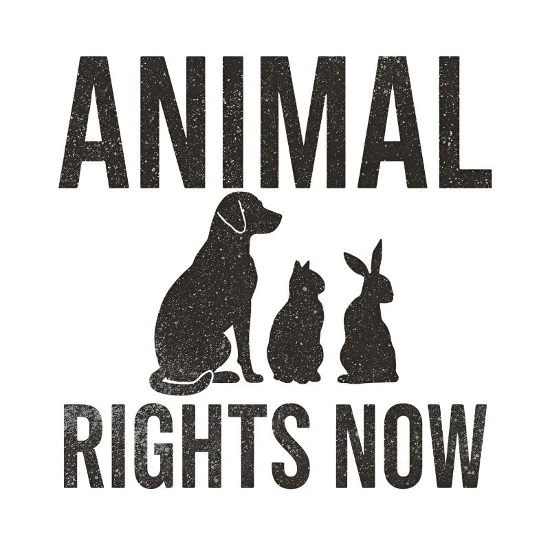 Animal Rights Now Conception typographique