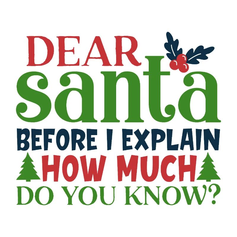 Dear Santa Before I Explain Funny Quote