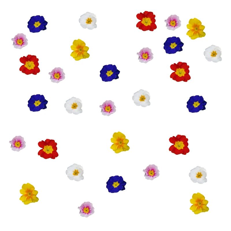 Primroses
