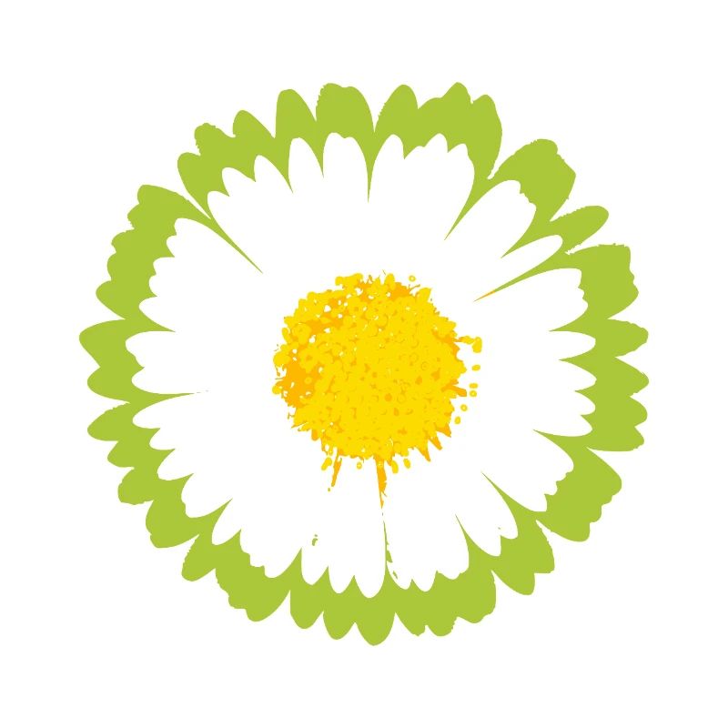 Sunny Daisy Pop Blume