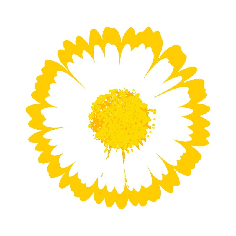 Daisy Sunburst Graphic