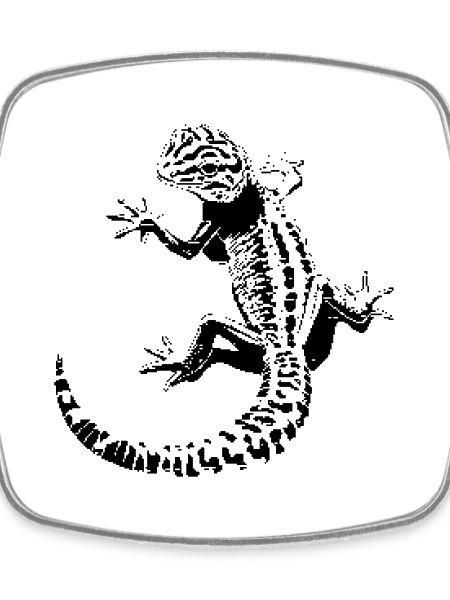 Gecko léopard