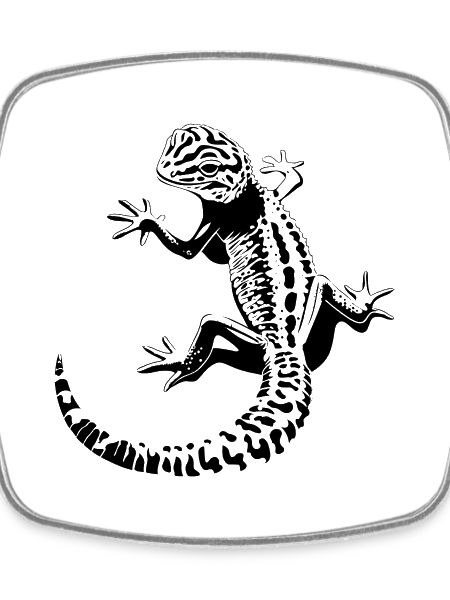 leopard gecko