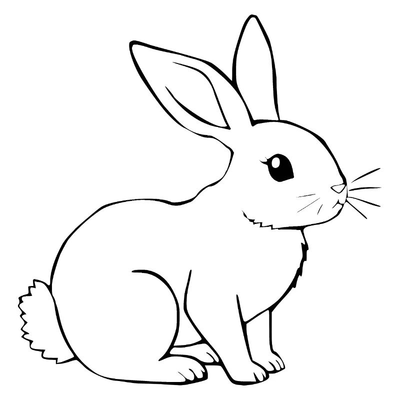 Rabbit Bunny Bunny Dwarf Rabbit Gift