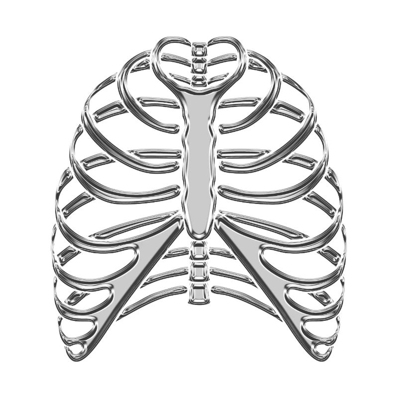 Chrome Ribcage / Skeleton Ribs