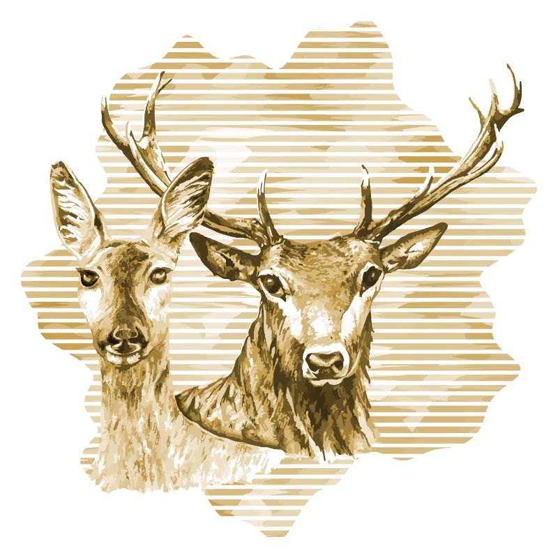 Deer and doe