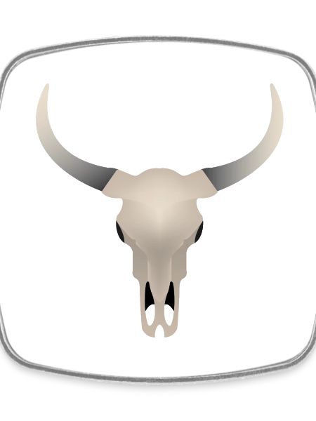 Buffalo Skull