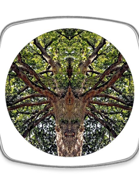 Nature creatures in treetop