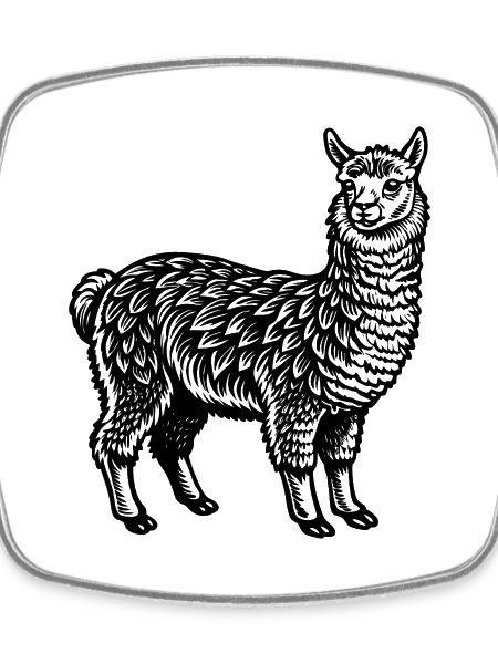 Alpaca