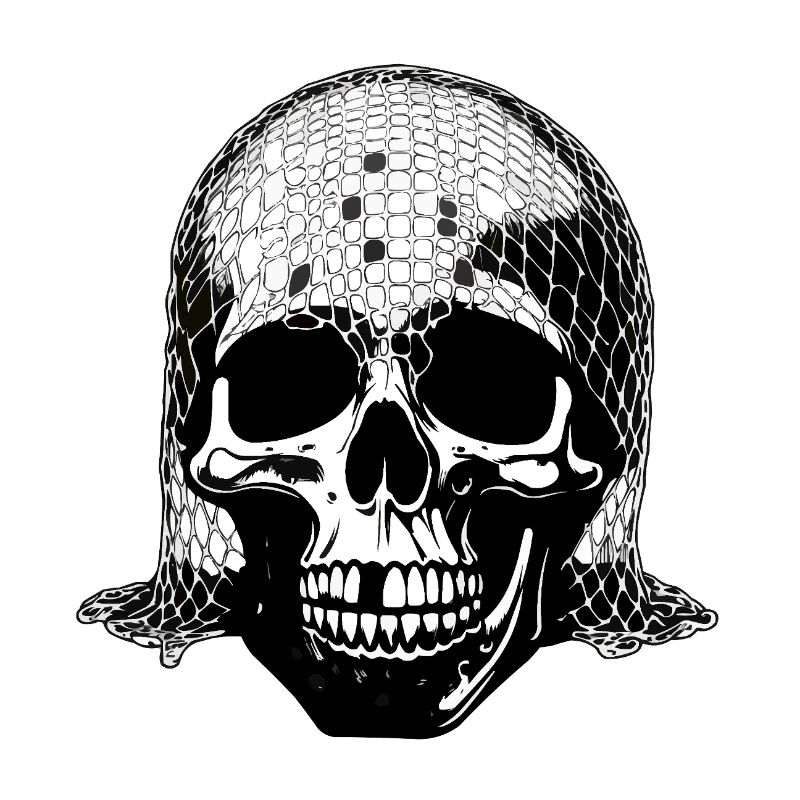 Skull with net veil