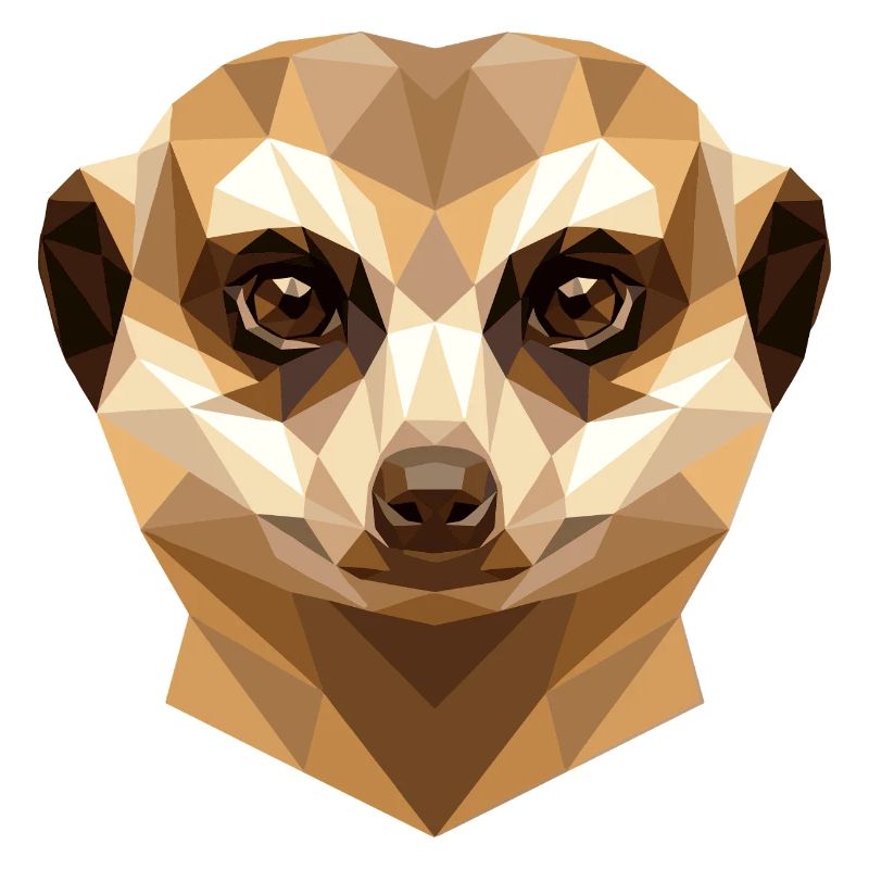 Suricate Suricate Douce Mangouste Suricate