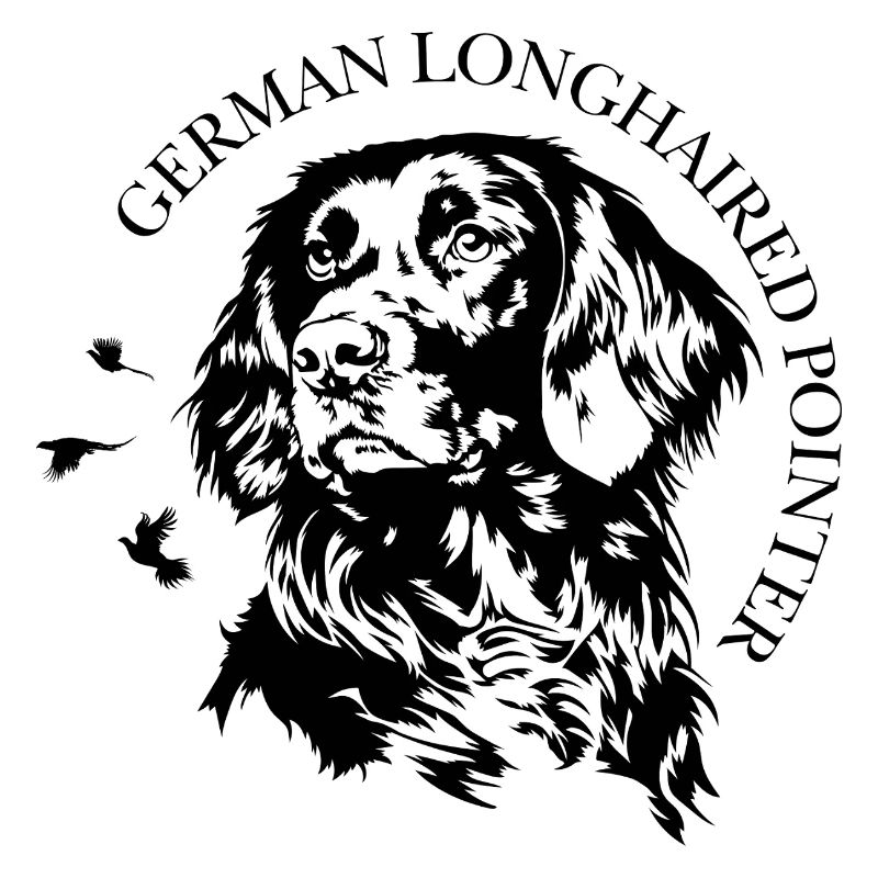 Chiens de chasse à poil long à poil long Pointers allemands Chiens Wilsigns