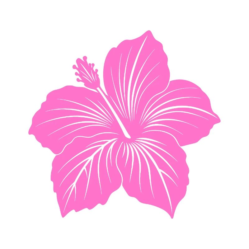 Hibiscus flower