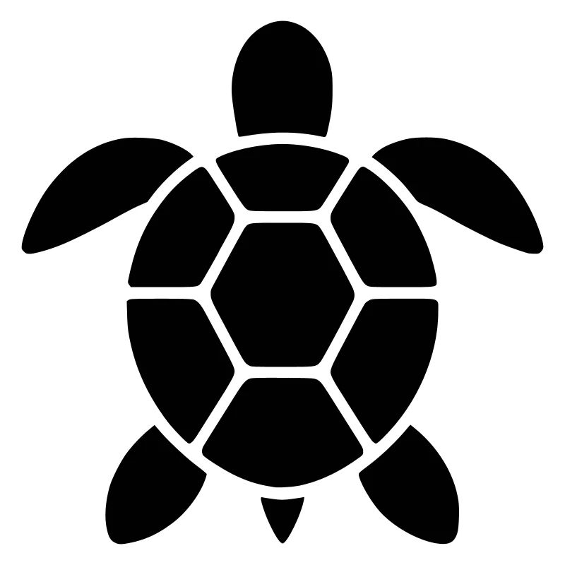 Tortue