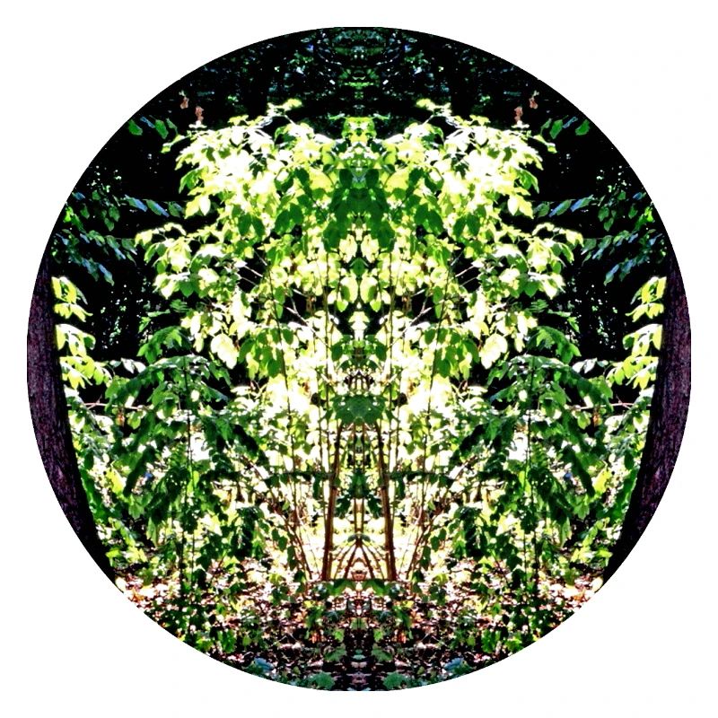 Face de feuille Mandala de la nature