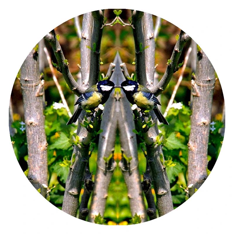 Source du Mandala de la nature dans le parc municipal