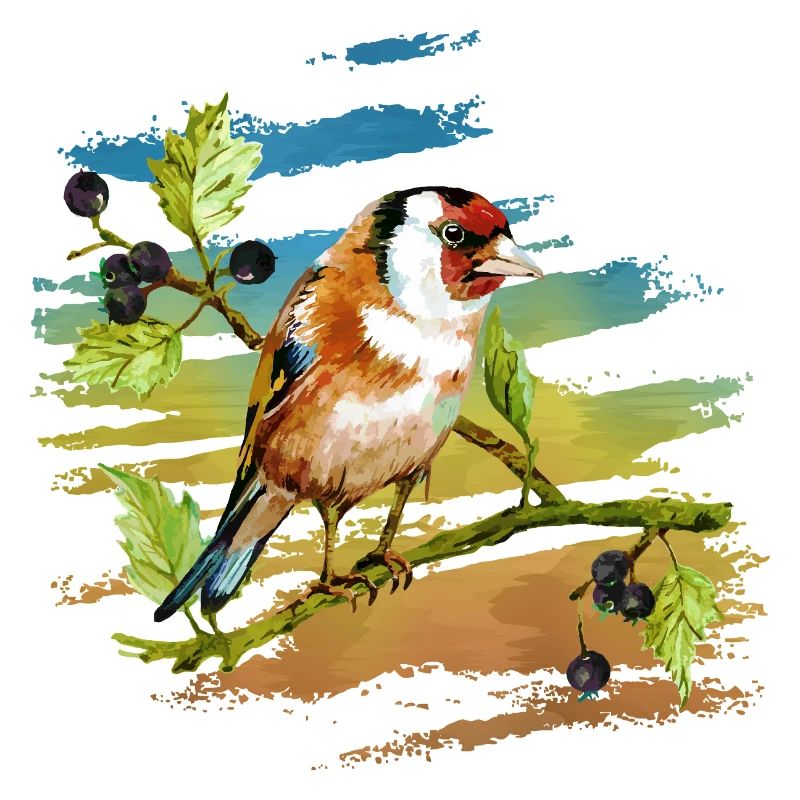 Oiseau coloré