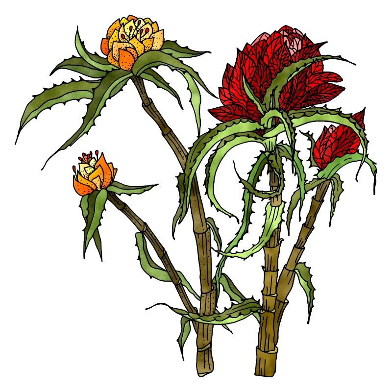Fleur