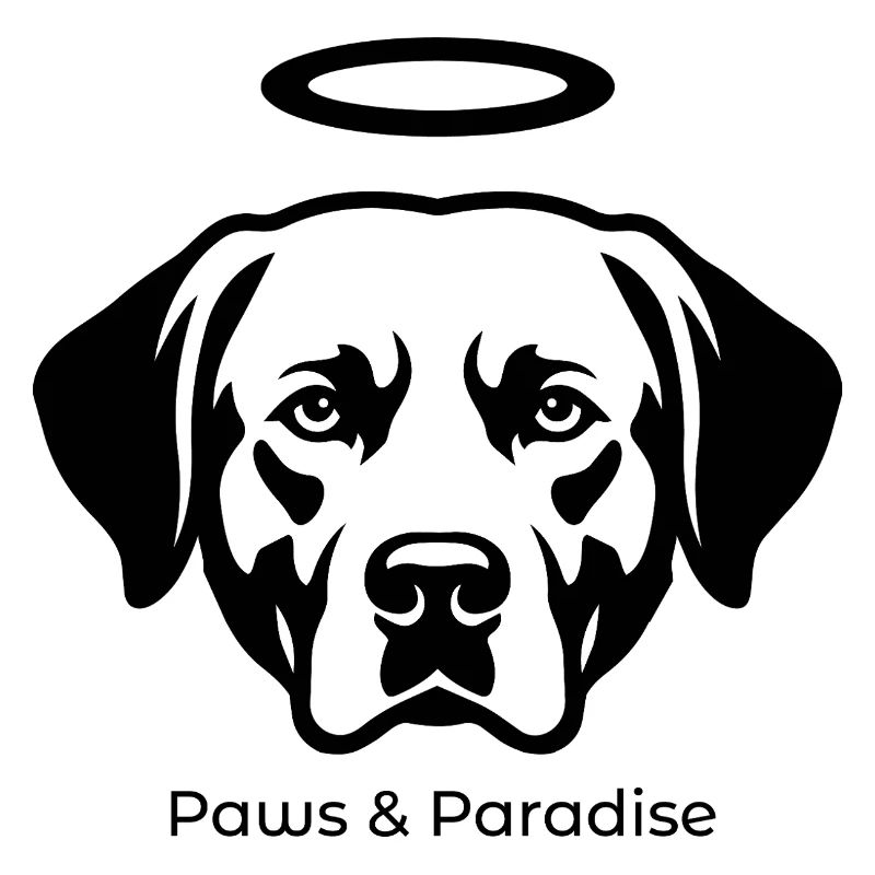 Labrador Engel Portrait – Paws & Paradise