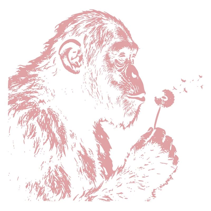 Chimpanzee Blowing Dandelion Art Monkey Nature