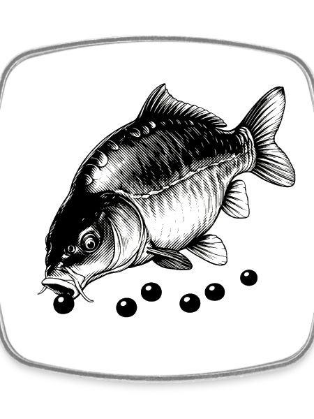 Carp at lunch