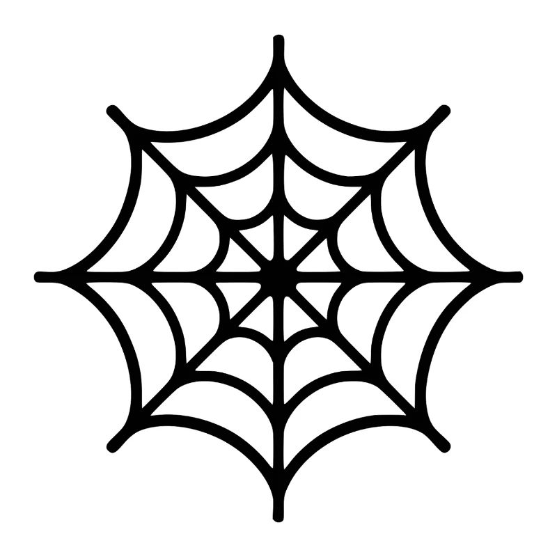 Spider Web Spider
