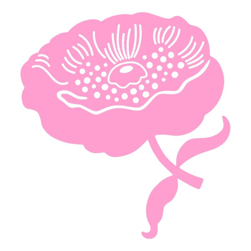 Peony L botanical peony L pink