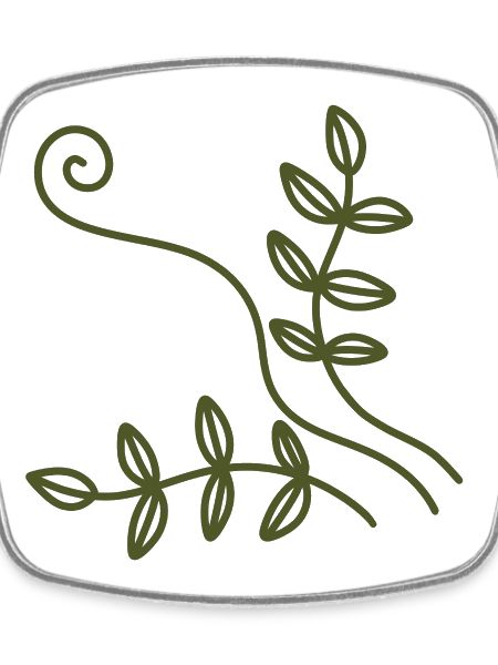 Olive Vine Line Art
