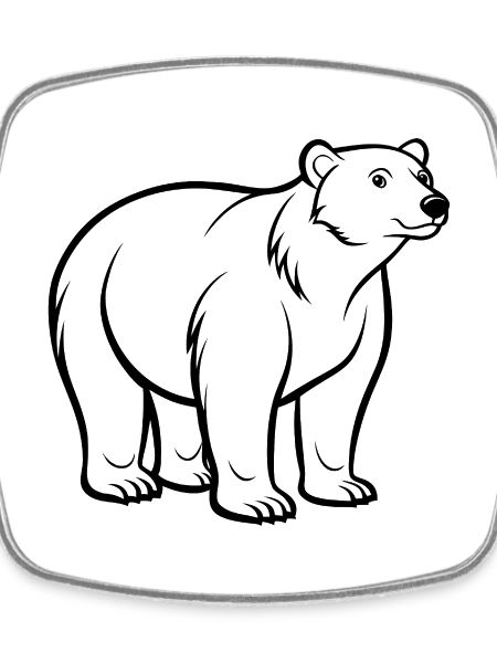 Polar bear