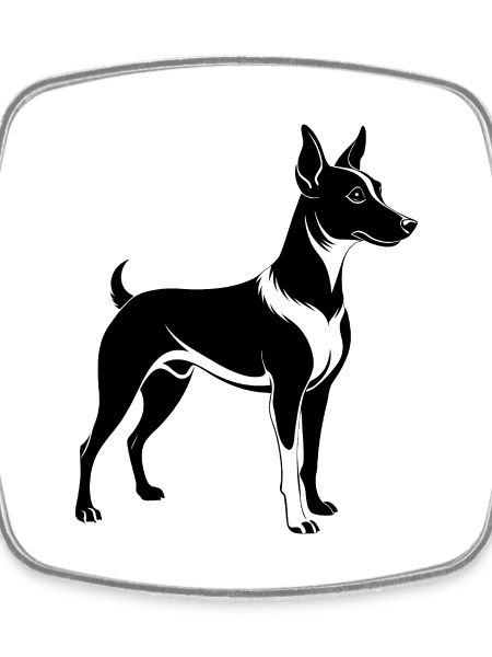 Rat Terrier