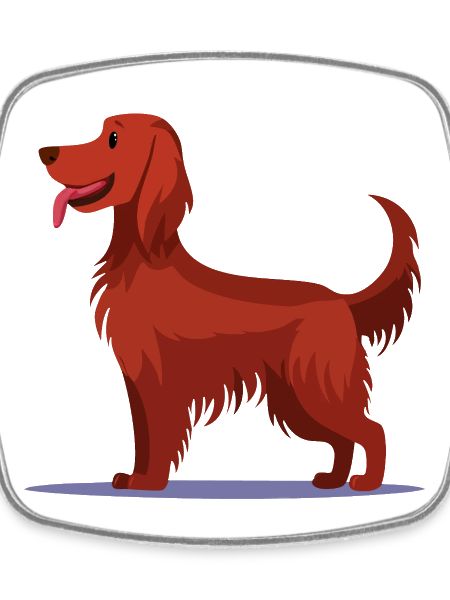 Irish Red Setter (comic)