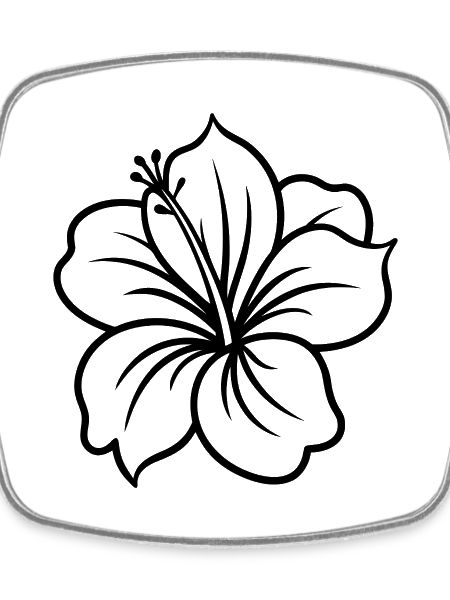 Hibiscus flower