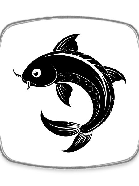 Koi Fish
