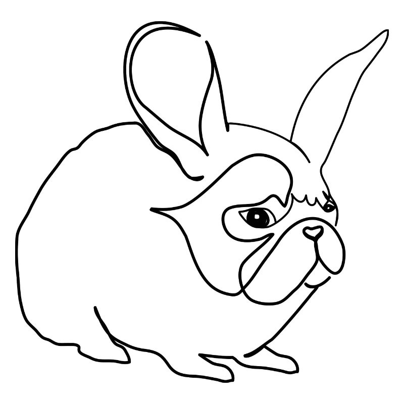 Pug bunny Pug Rabbit