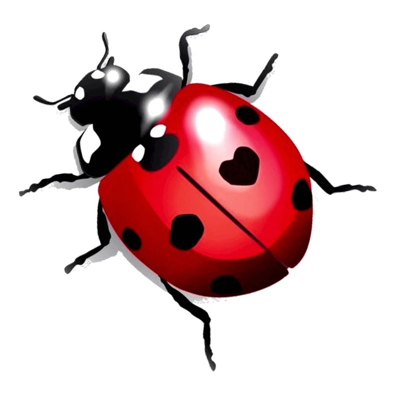 Ladybug