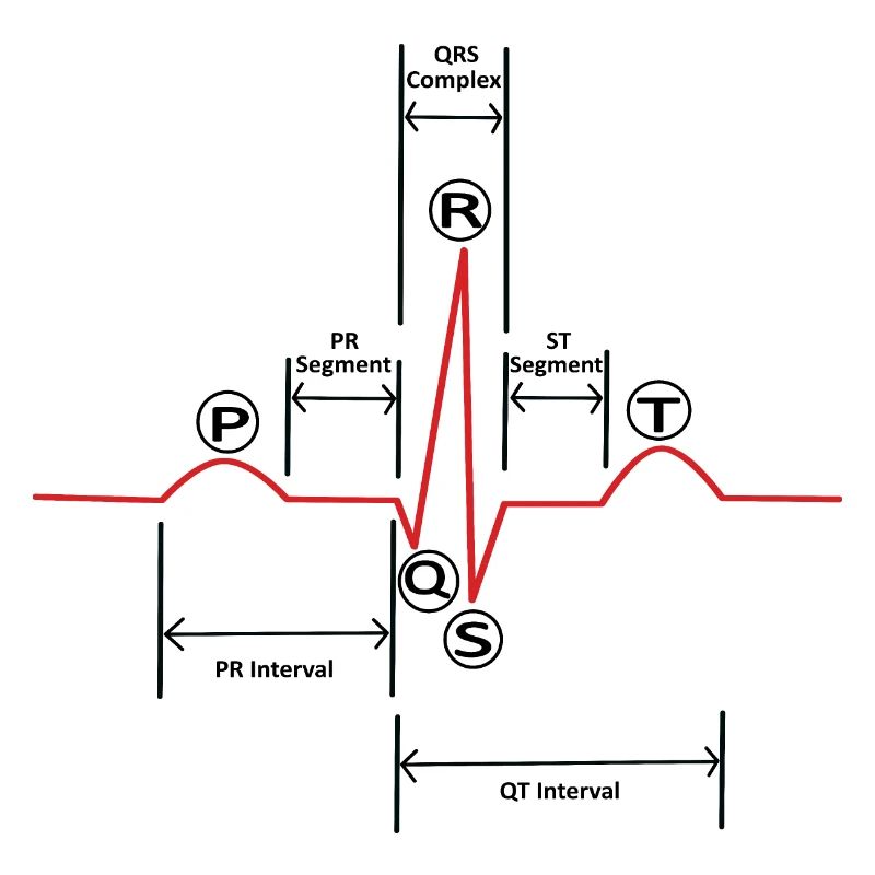 ECG v2