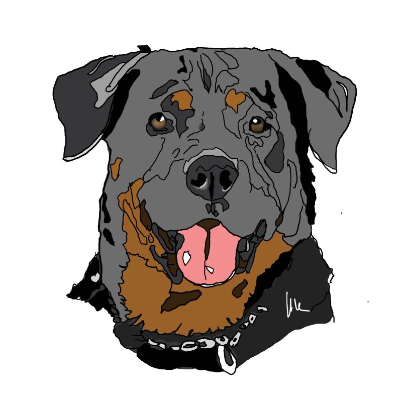 Rottweiler