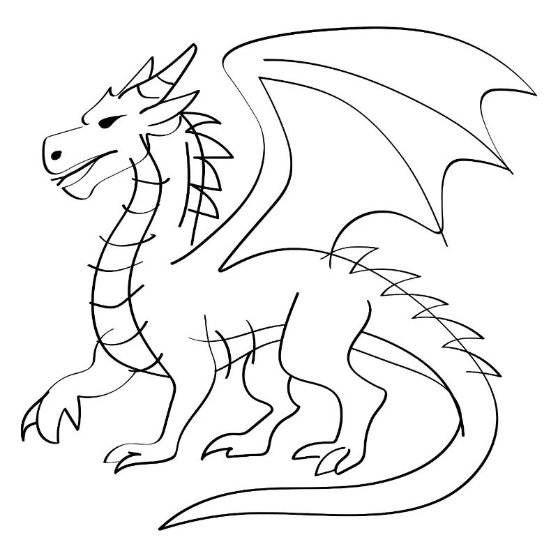 Drachen Illustration