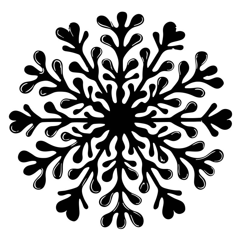 Snowflake Winter Icon