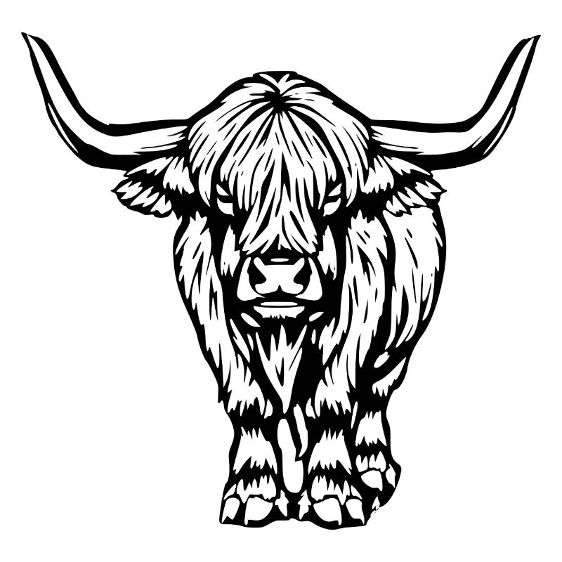 Scottish Highland cattle