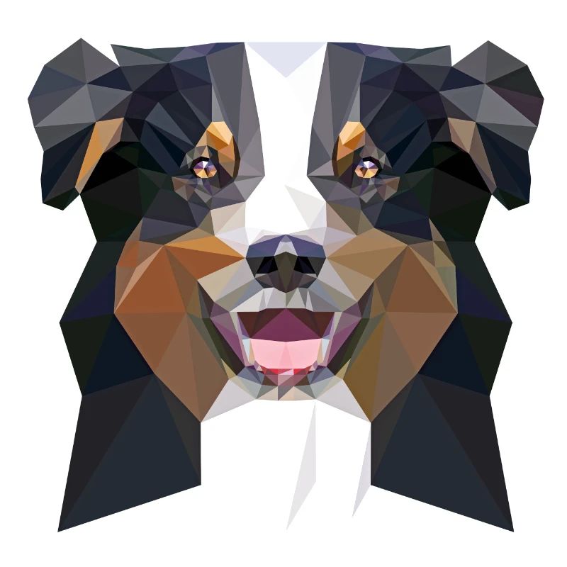 Aussie low poly black
